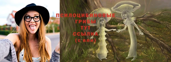 соль ск Алексин
